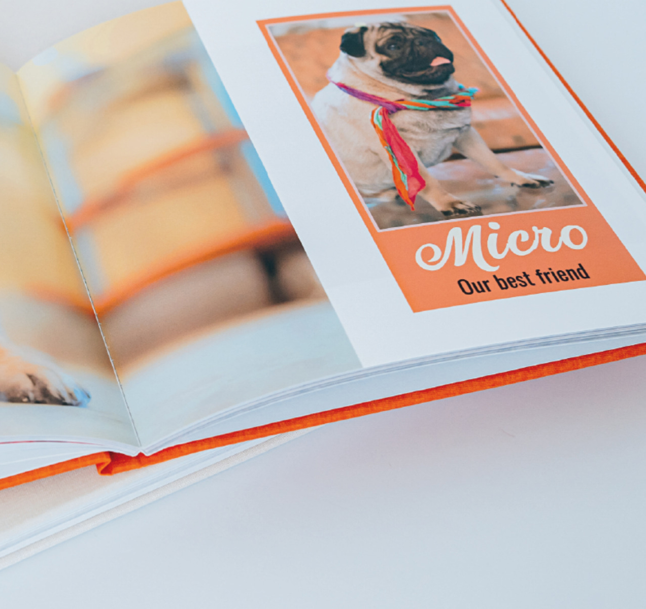 Photo book pet photo books